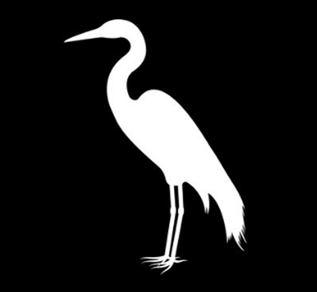 Tall white bird  graphic on black background